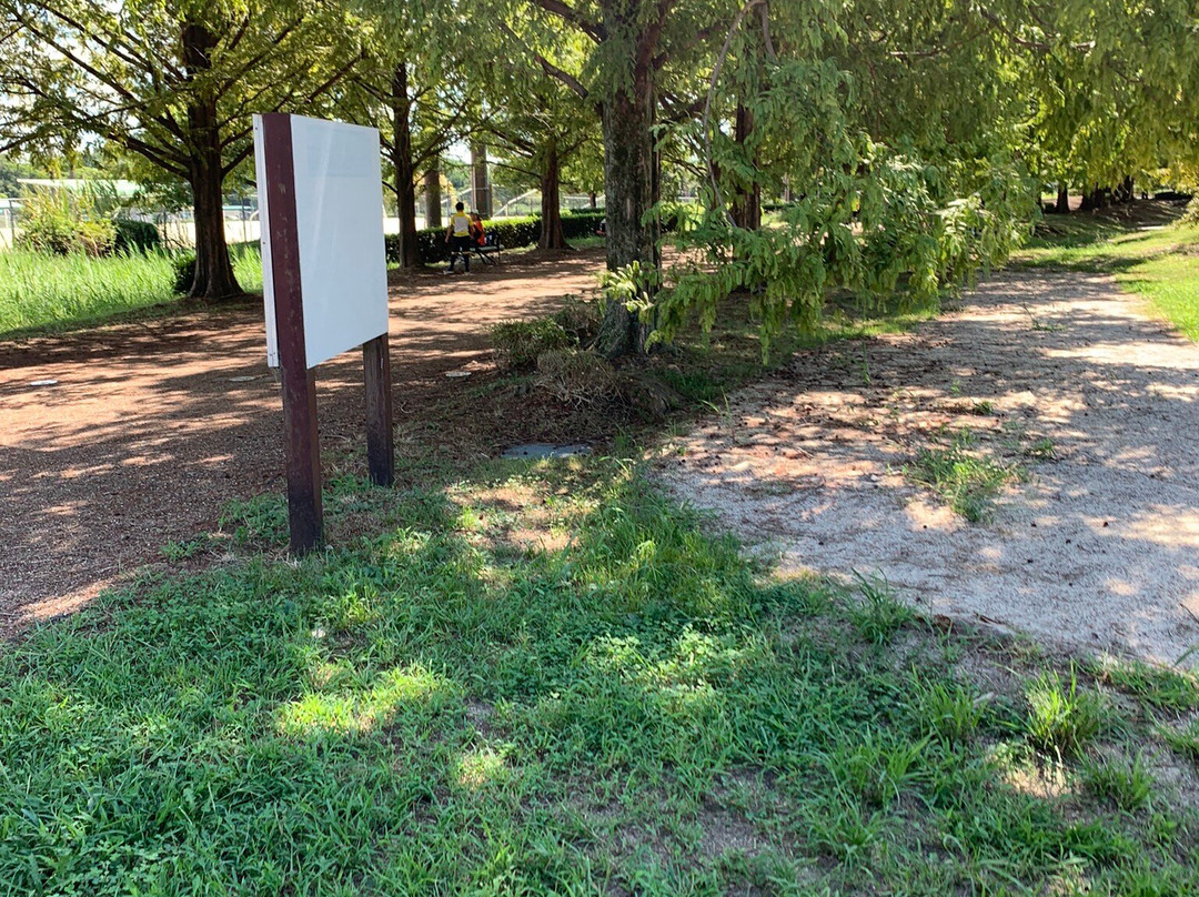 Yabasekihanto Park-草津市必去景点