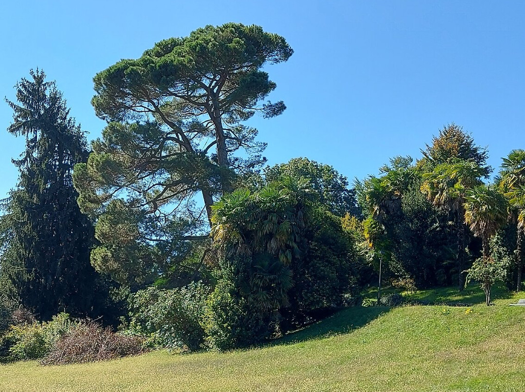 Parco di Villa Torelli Mylius景点图片