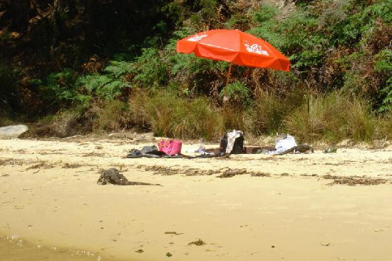 Sydney Seaplanes-Rose Bay必去景点