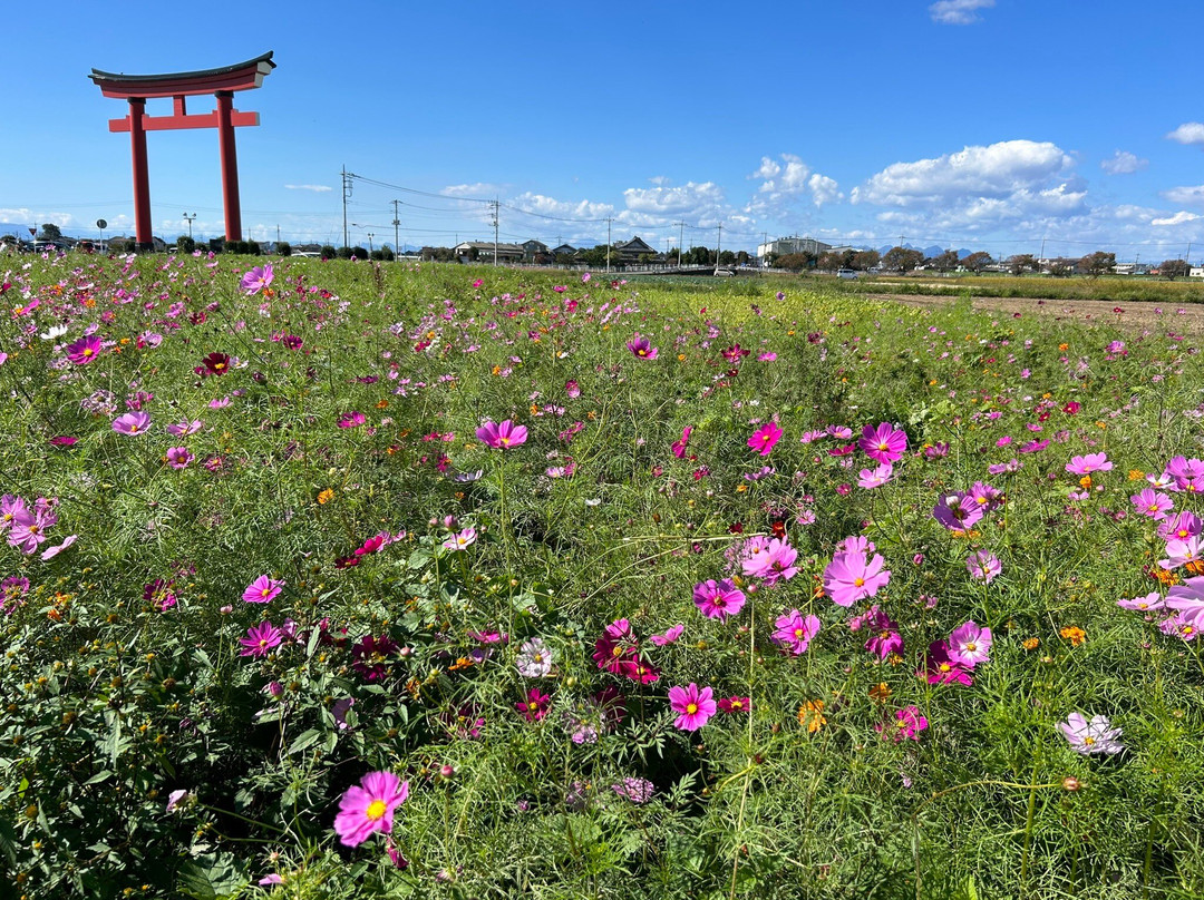 Koizumiinari Shrine-伊势崎市必去景点