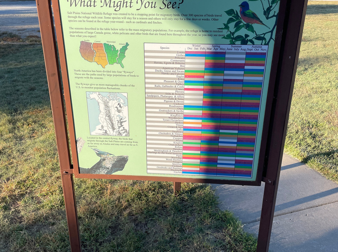 Salt Plains National Wildlife Refuge景点图片
