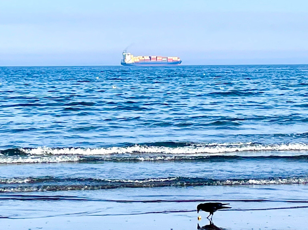 Seafield Beach-Kirkcaldy必去景点