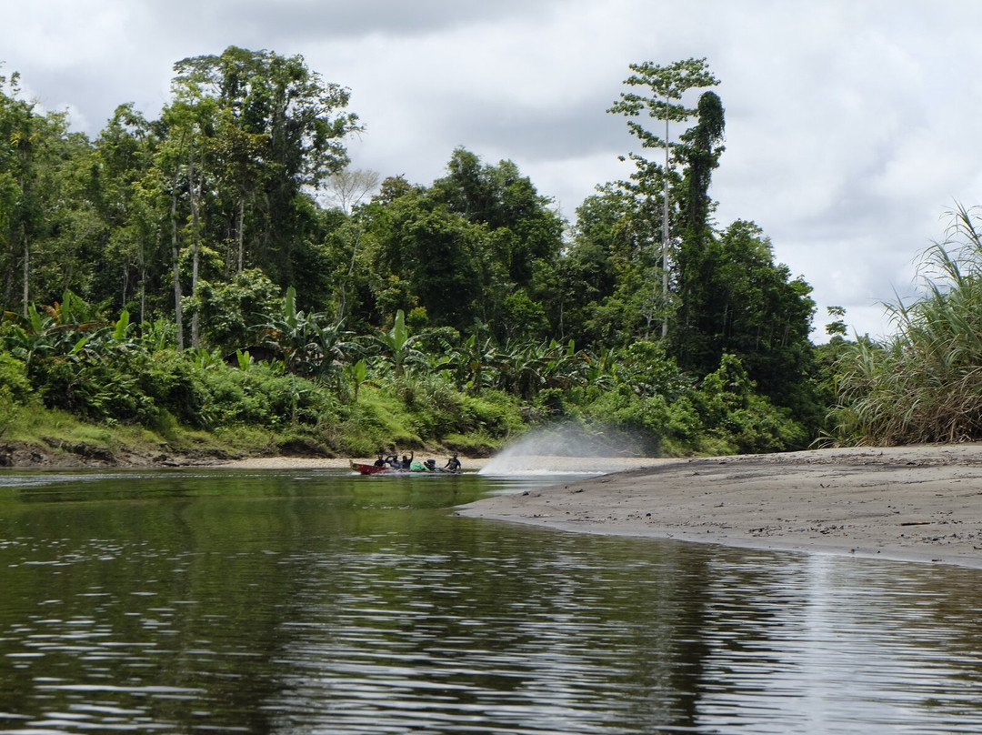 Travel Papua景点图片