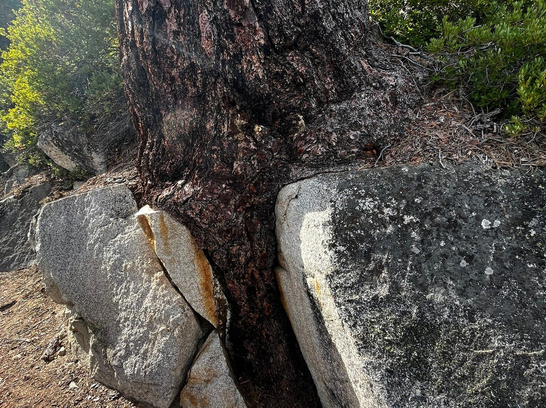 Rubicon Trail-南太浩湖必去景点