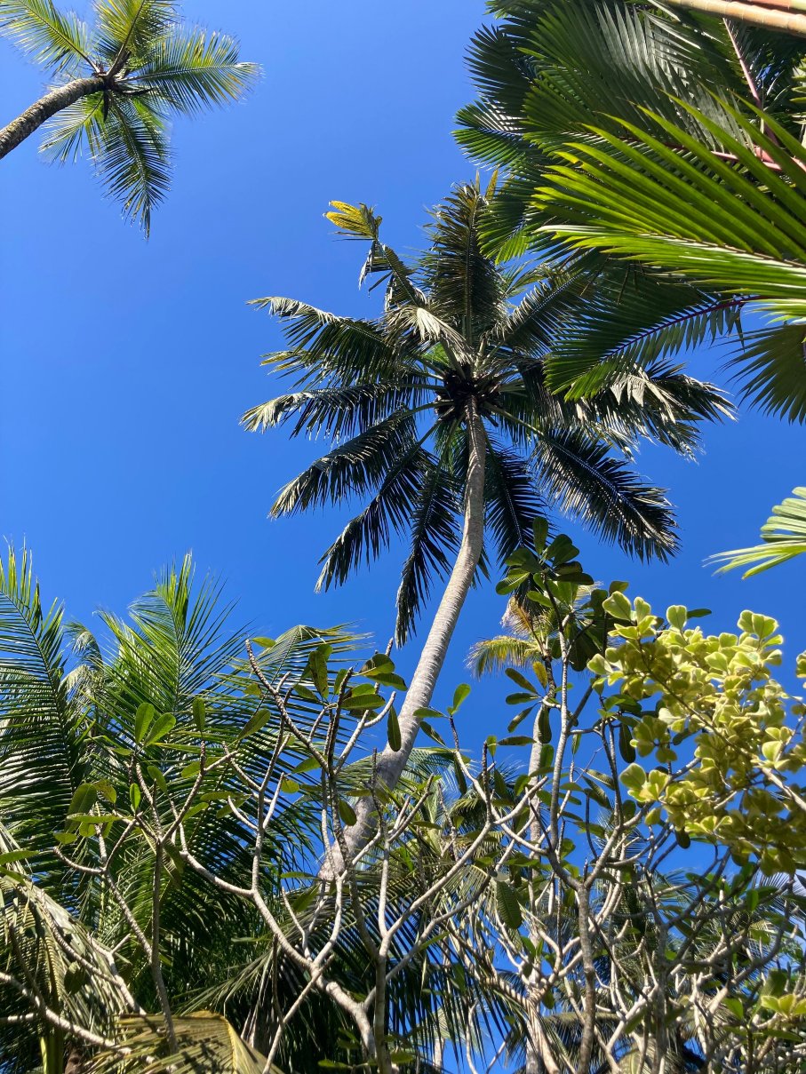 Amal Villa Apartments & Rooms-泳池