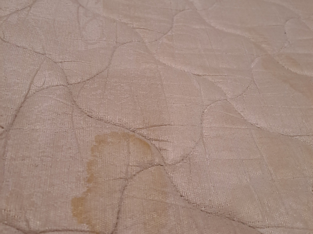 Ginger Faridabad主图