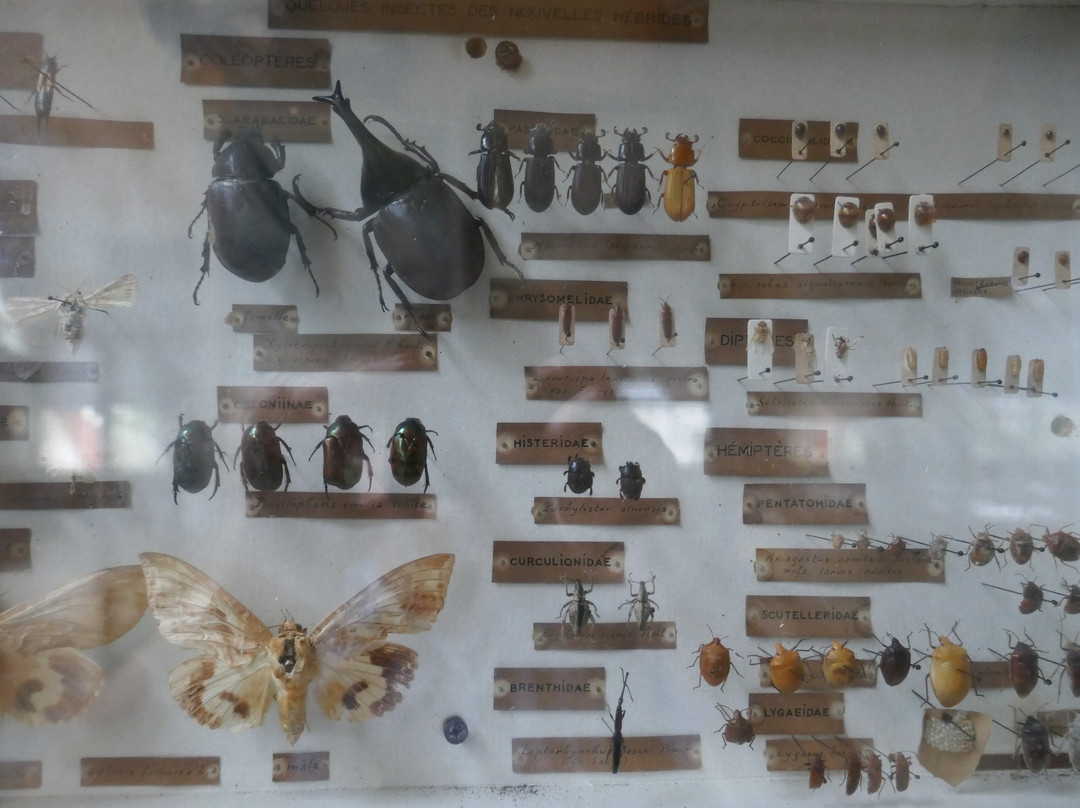 National Museum of Vanuatu-维拉港必去景点