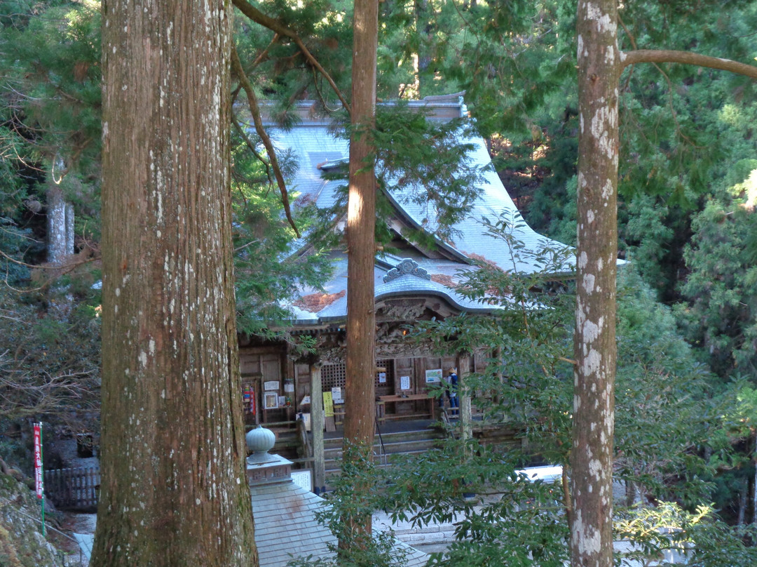 Tairyuji Temple-阿南市必去景点