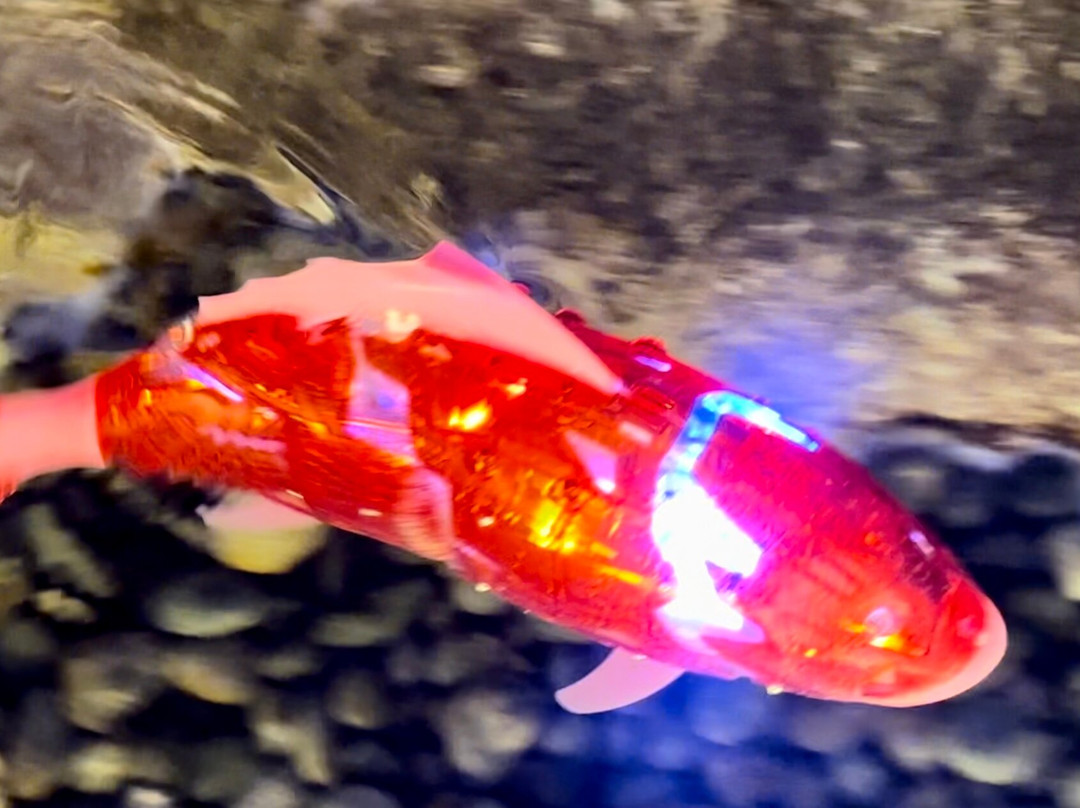 Gwangmyeong Cave-光明市必去景点