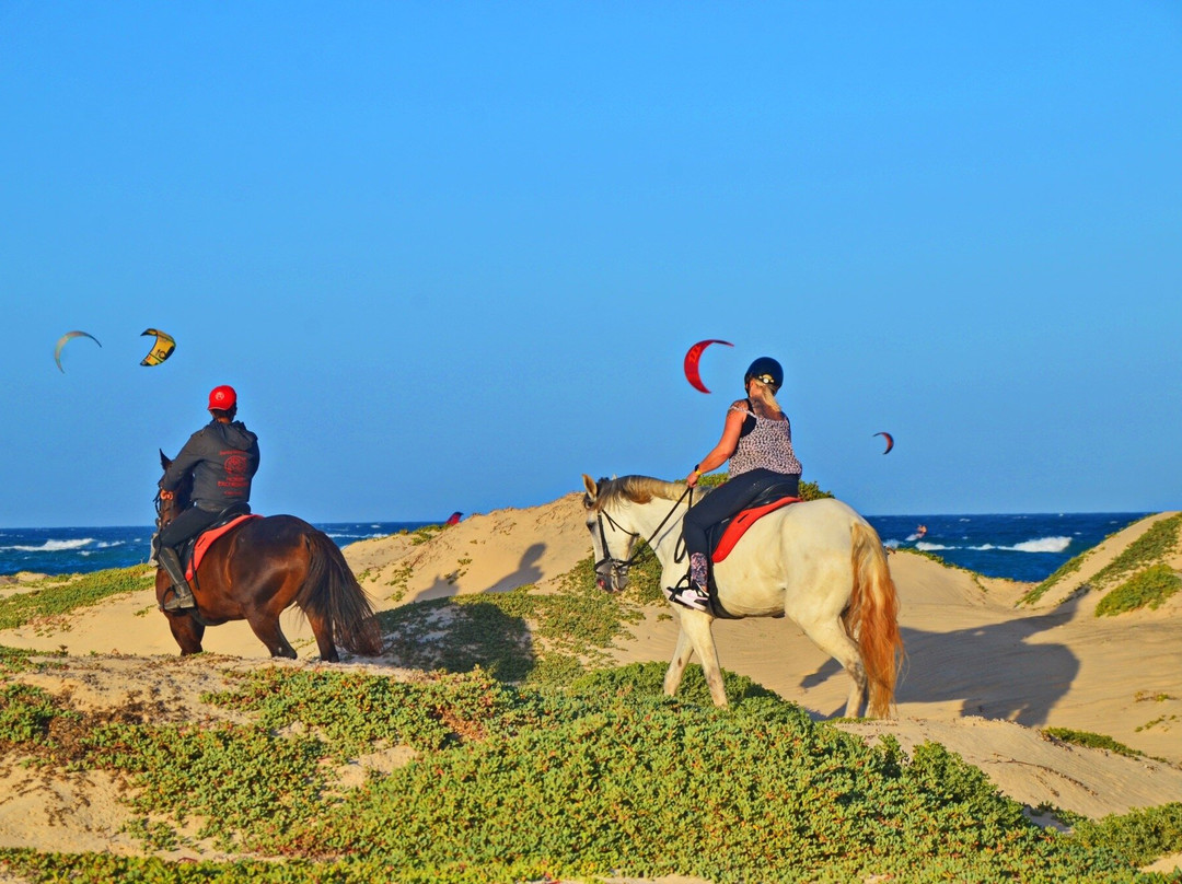 Santa Marilha Horse Excursions景点图片