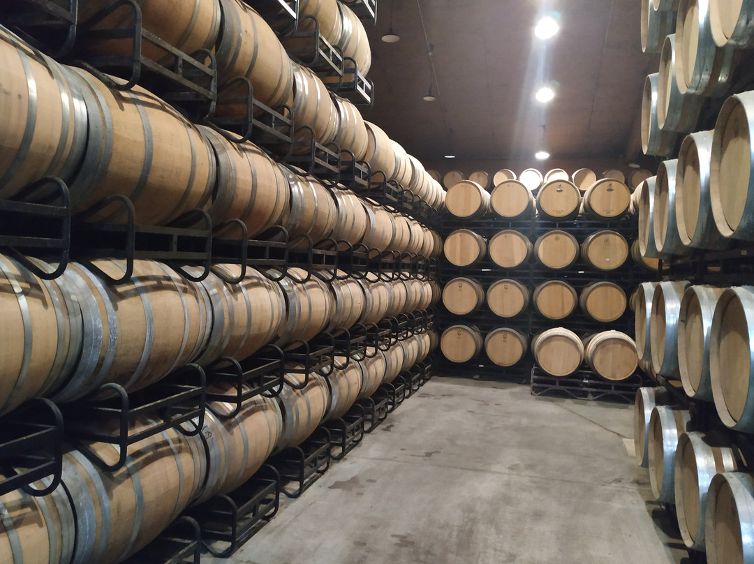 Bodegas Fernández de Piérola-Moreta必去景点