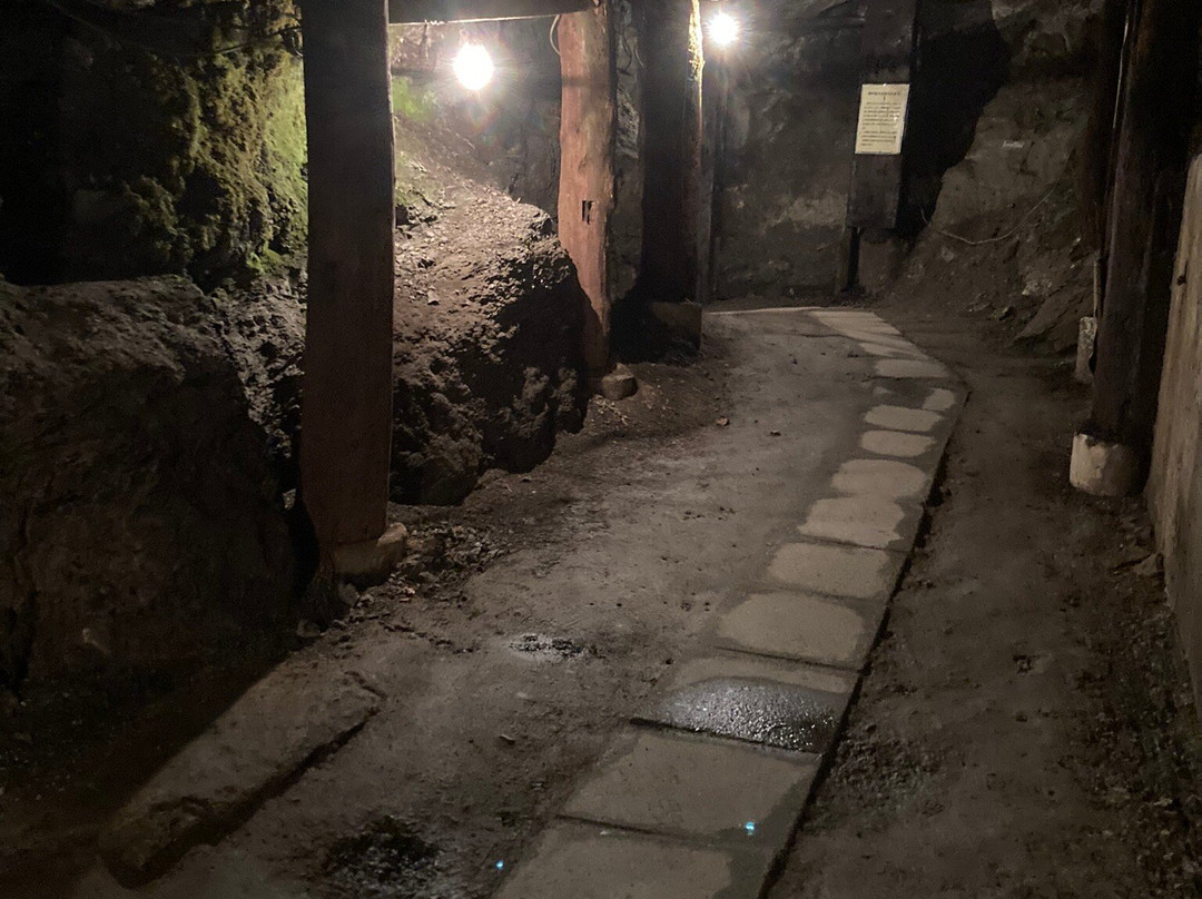 Kujikohaku Museum-久慈市必去景点