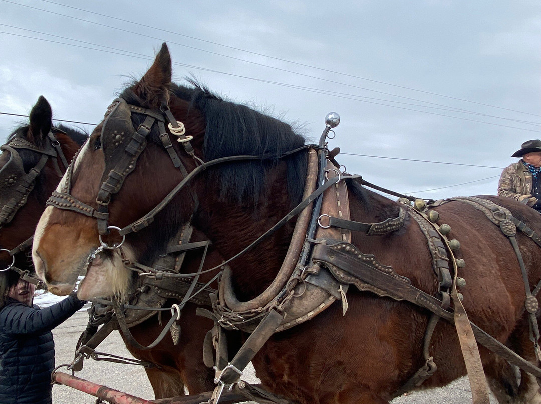 Thurston Farms-Morgan必去景点