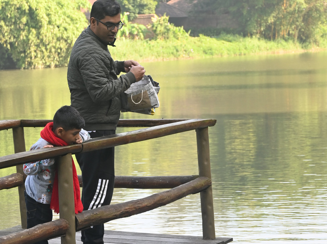 Evolve Back, Coorg主图