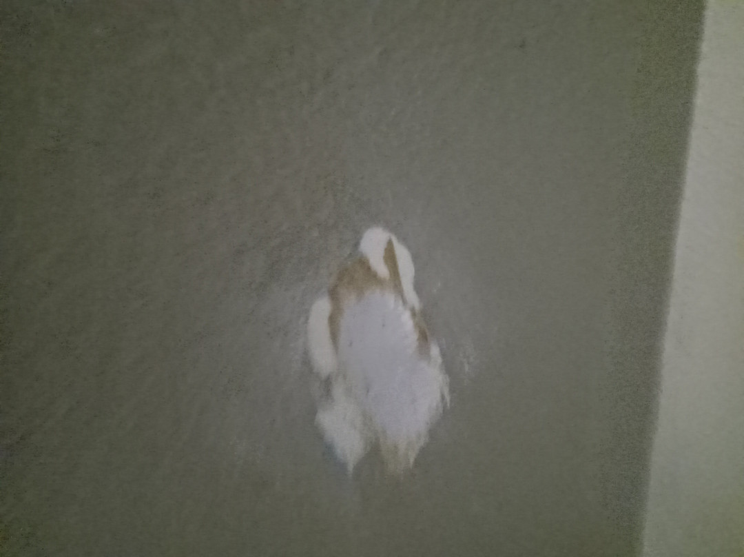 Red Roof Inn Greenville, Nc主图