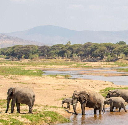 loveafricaexpedition-莫西必去景点