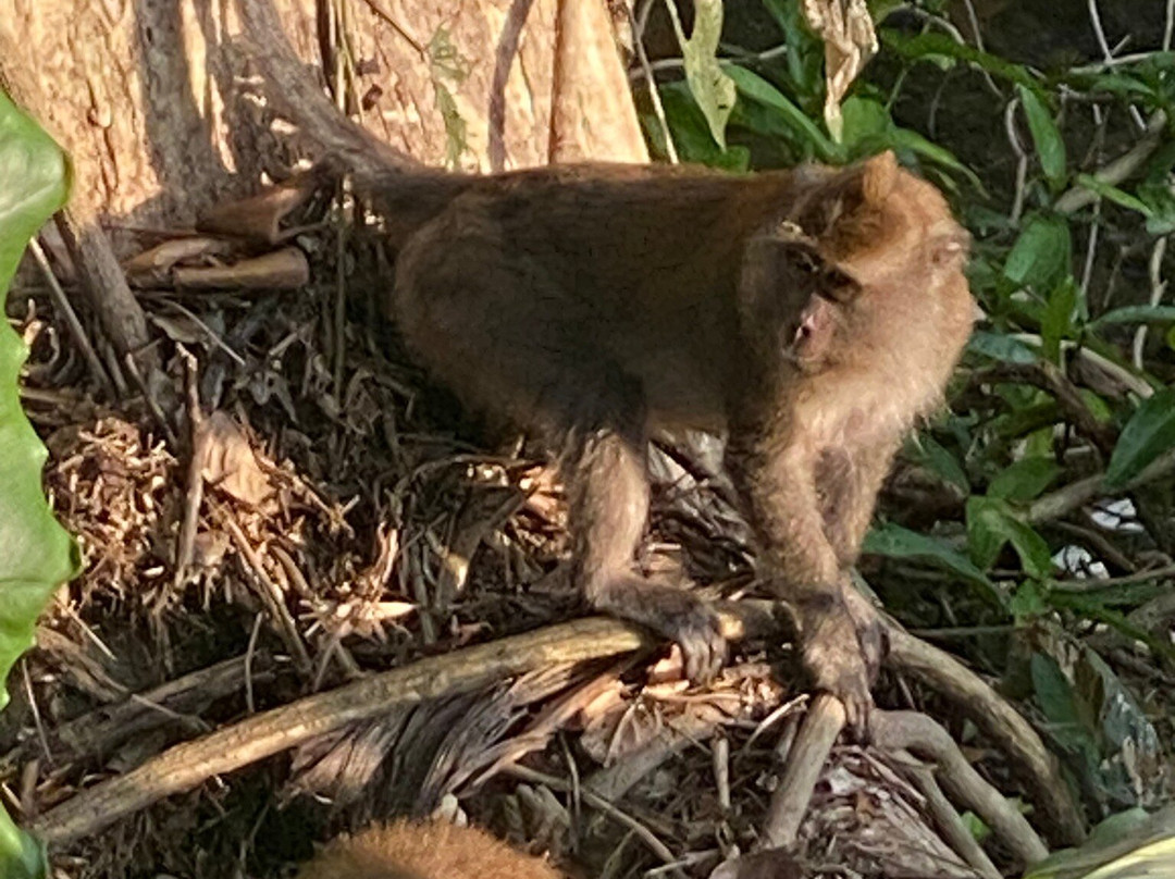 晨霧渡假村主图
