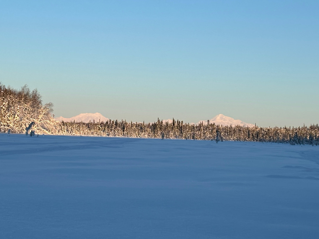 Alaskan Husky Adventures-安克雷奇必去景点