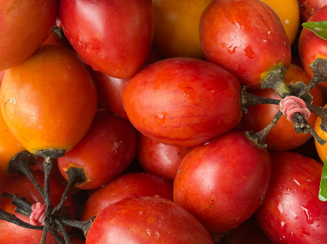 Jaies Chauffeur Service and Tour Assistant-怡保必去景点