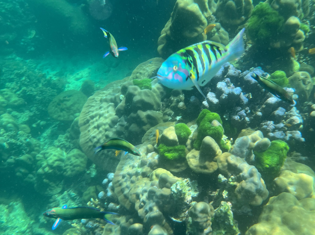 Tin Adventure Sea Tour-兰塔岛必去景点