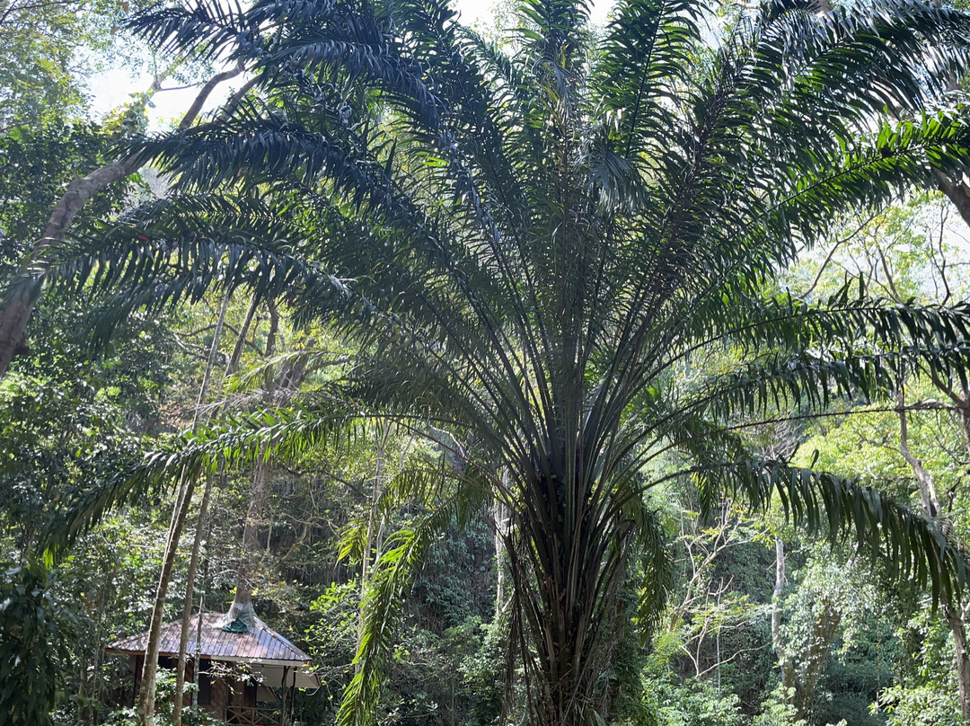 考索自然度假村主图