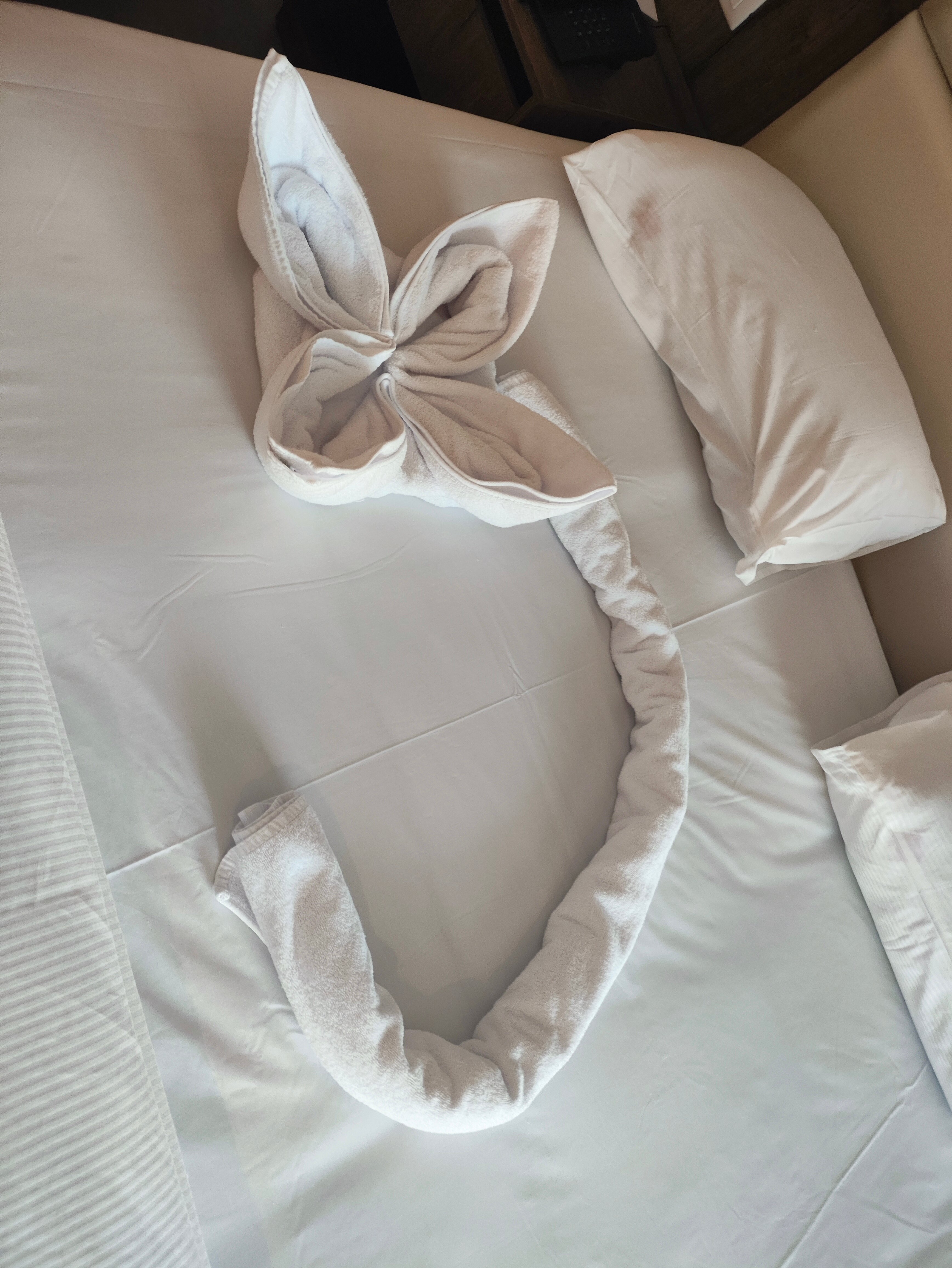 Pickalbatros Laguna Club Resort-官方