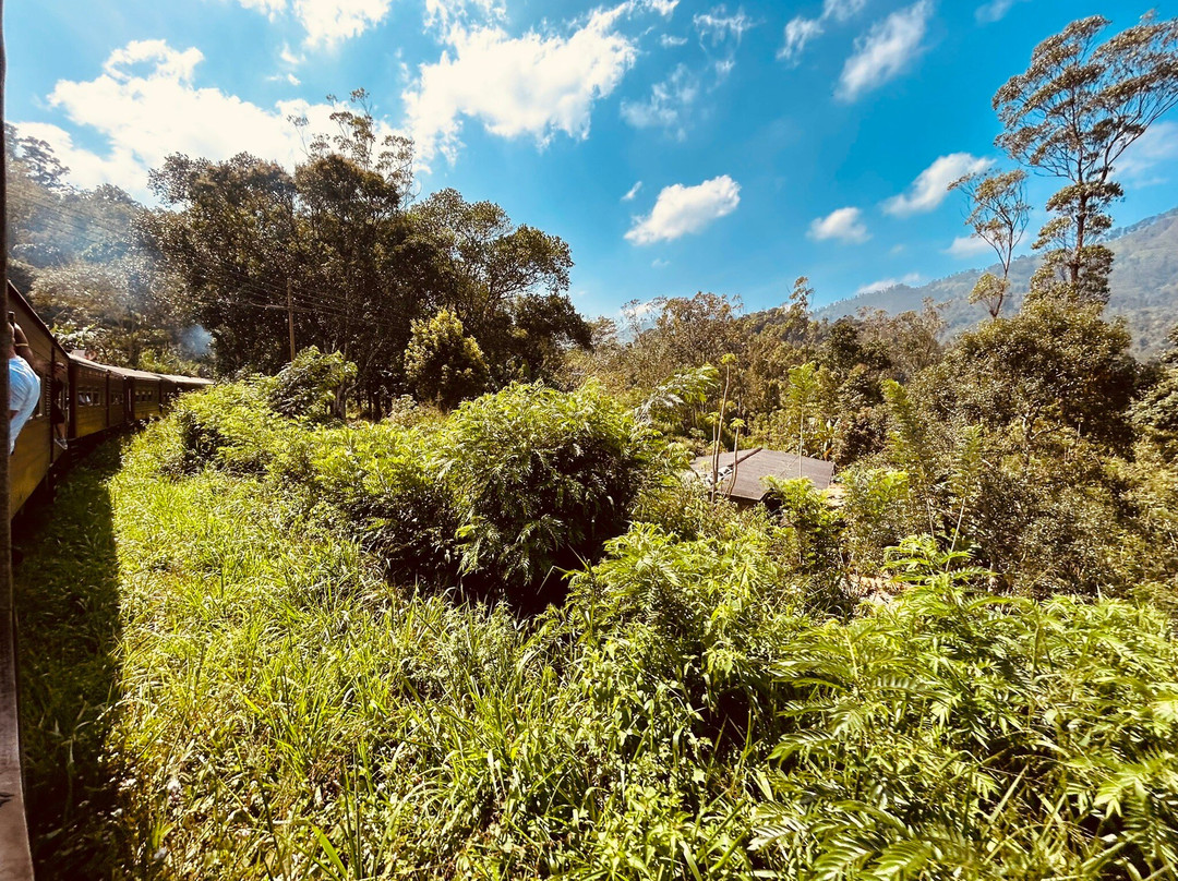 PS Tours Pasikuda-卡尔库达必去景点