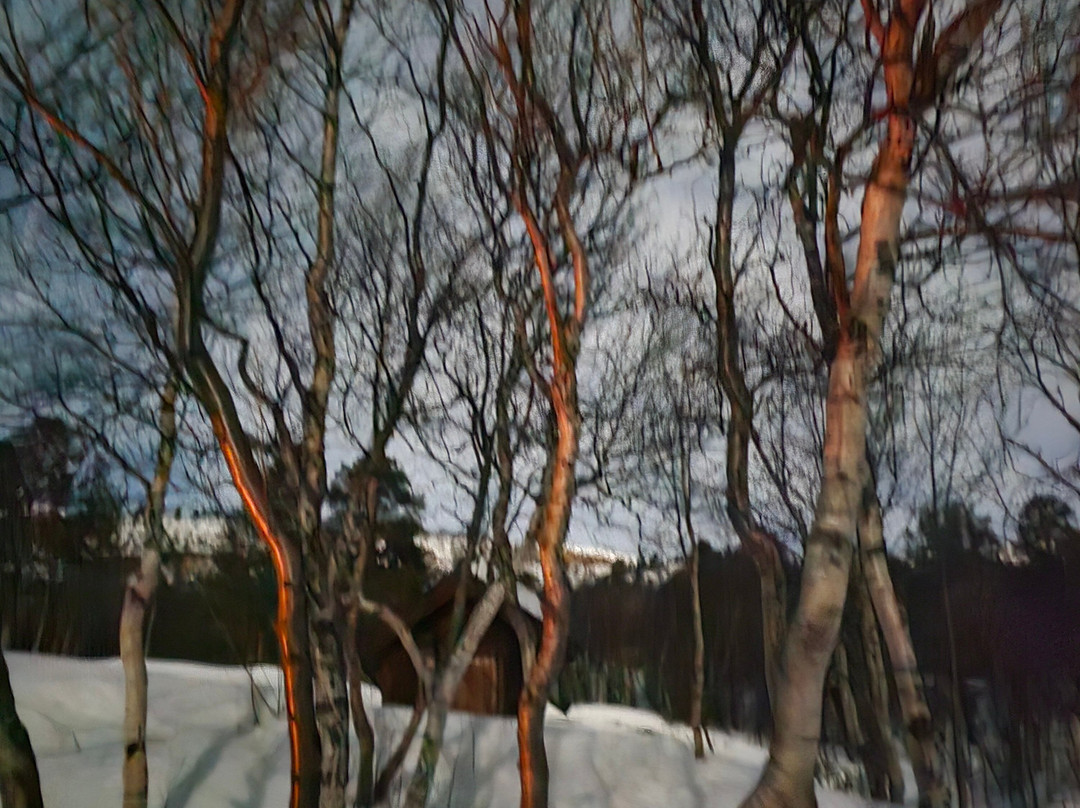 Sorrisniva Arctic Wilderness Lodge主图