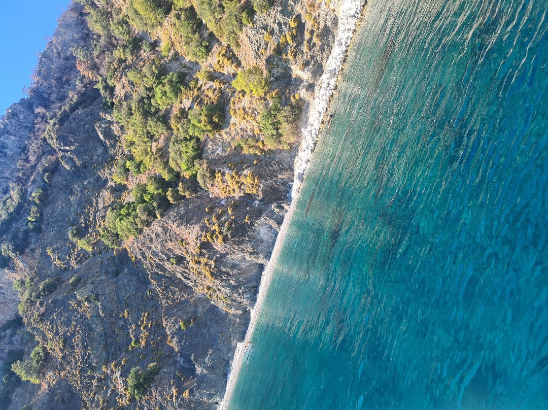 Marmaris Travel Center景点图片