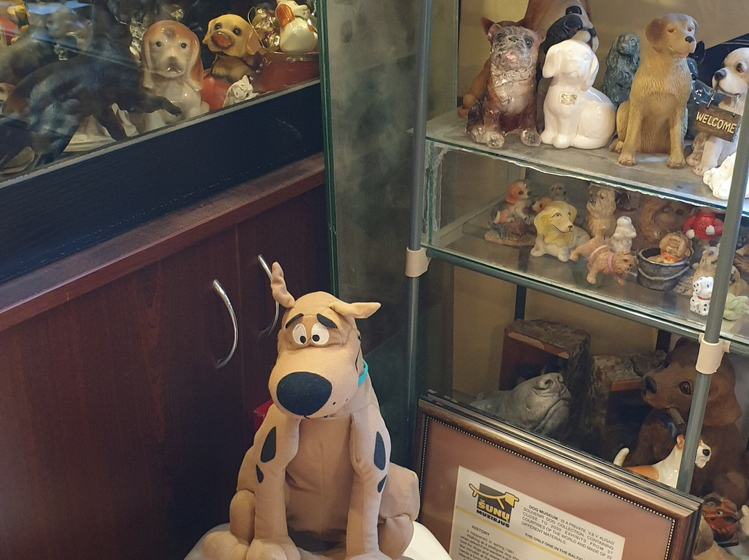 Dog Museum-帕兰加必去景点