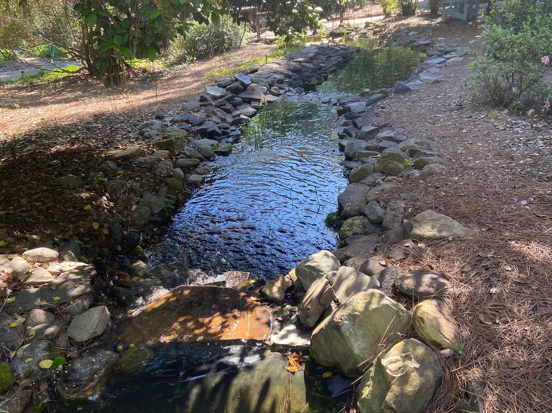 Sandhills Horticultural Gardens景点图片