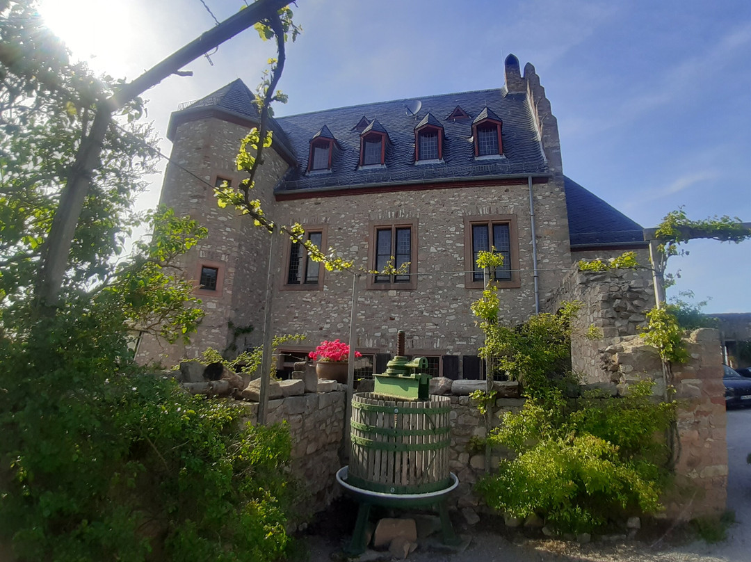 Burg Altenbaumburg-Altenbamberg必去景点