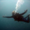 Swissdiver