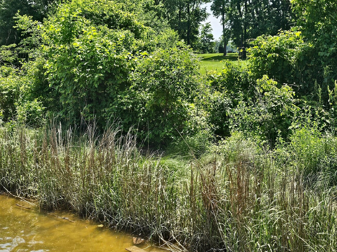 Cox Point Park-Essex必去景点