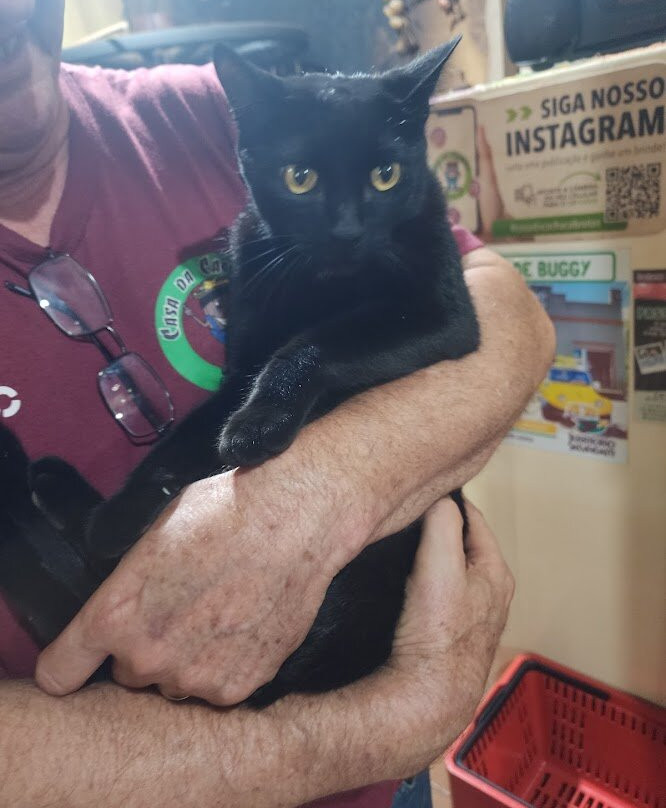 Museu do Caipira-Brotas必去景点