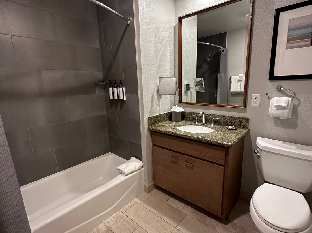 Marriott's Summit Watch主图