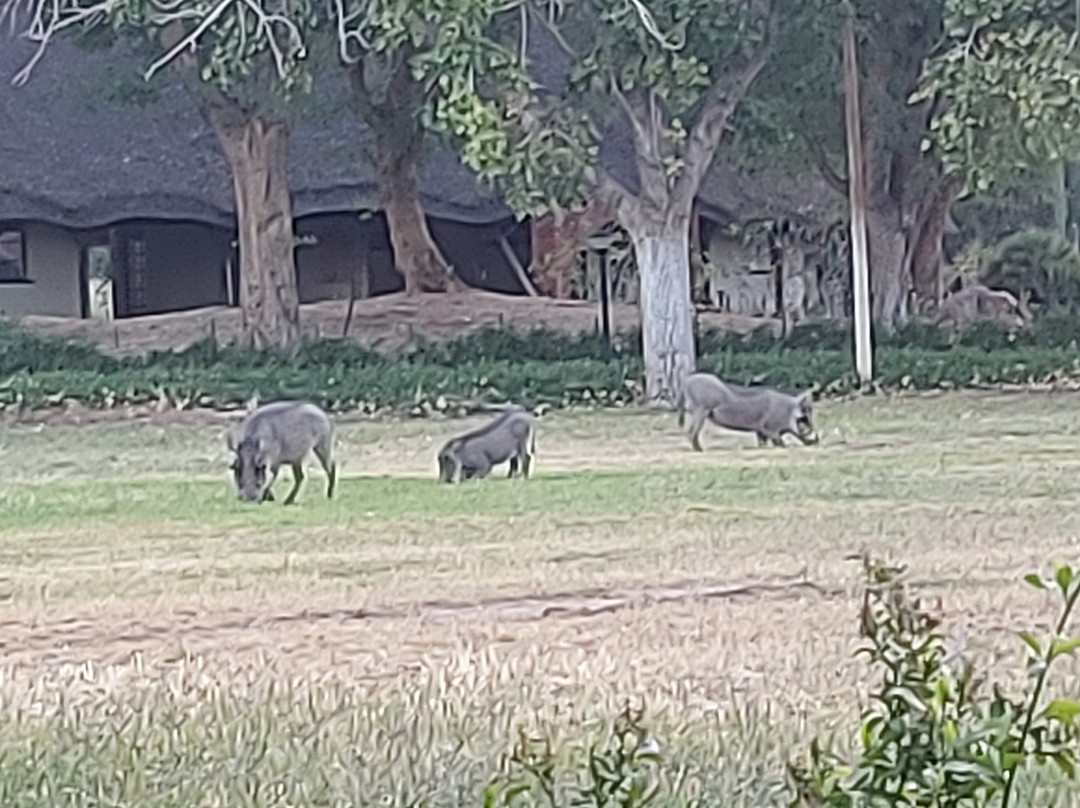 Midgard酒店住宿-Midgard Ojihavera Windhoek