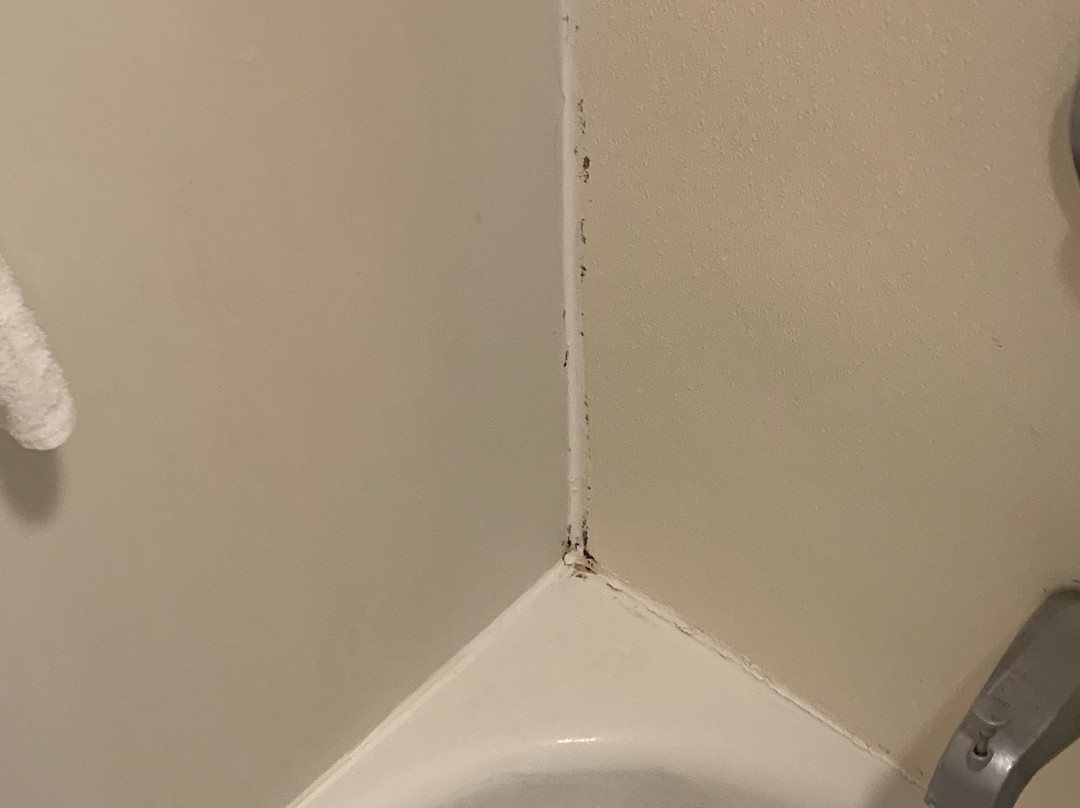 SpringHill Suites by Marriott Peoria主图