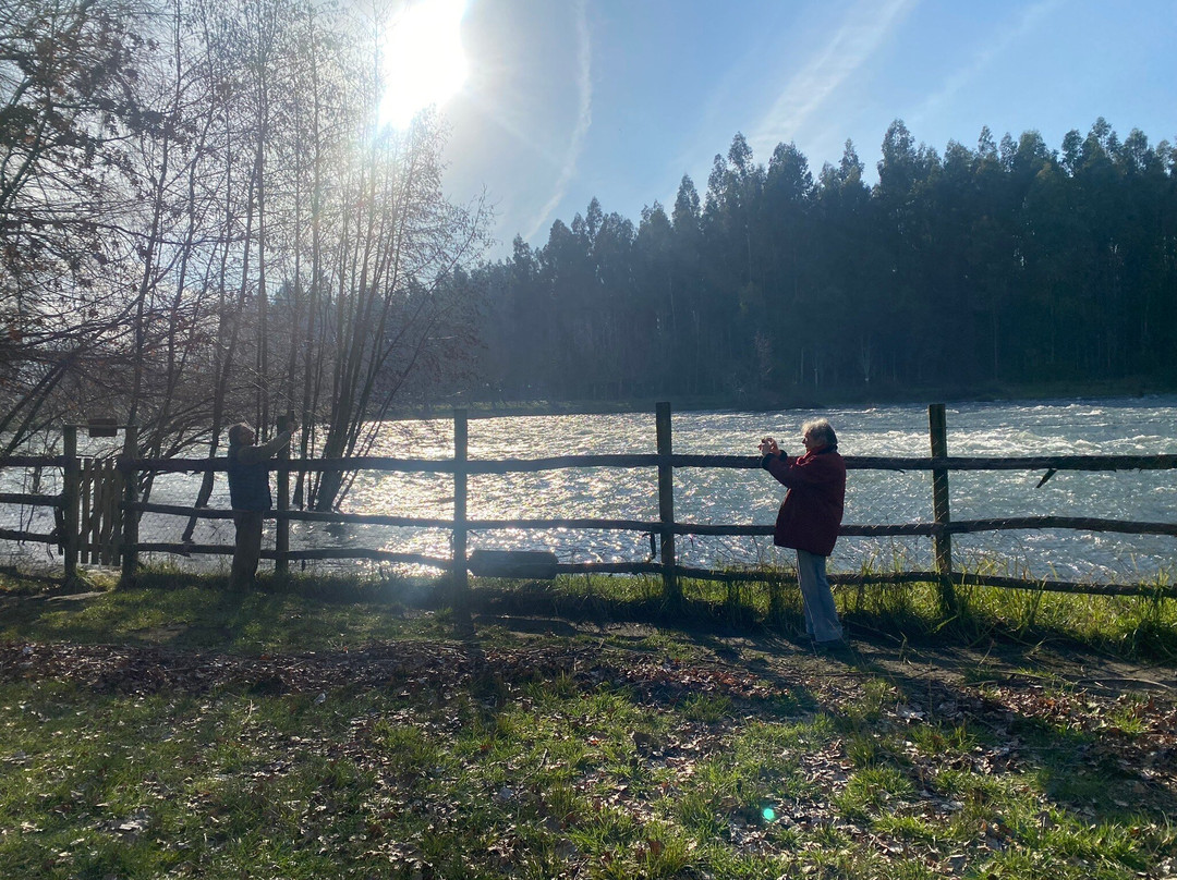 Hotel Salto del Laja主图