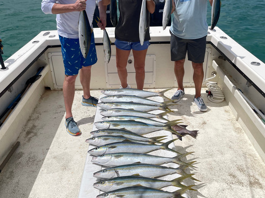 Fathom Charters-吕康必去景点