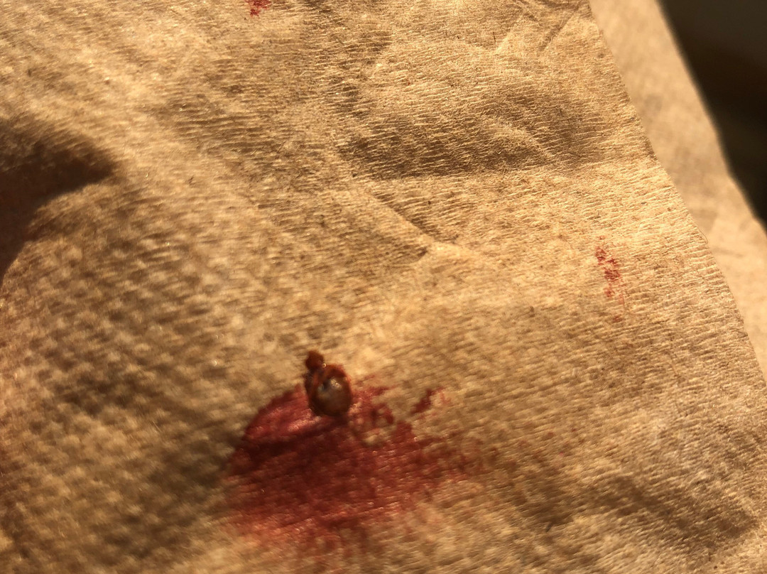 Super 8 by Wyndham Wayne主图