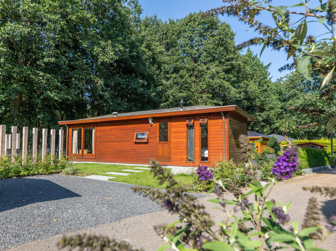 Het Verscholen Dorp Bungalowpark主图