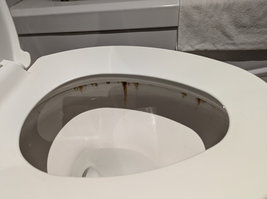 Best Western Plus Cambridge Hotel主图