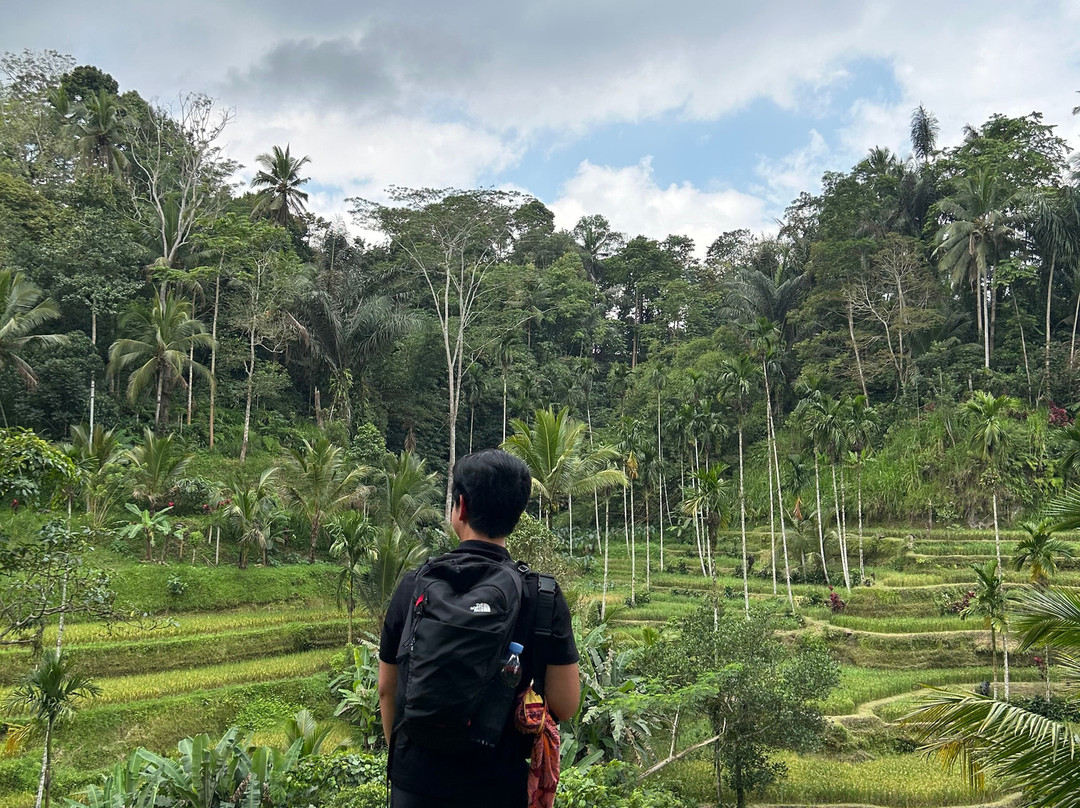 Bali Cultural Tour景点图片