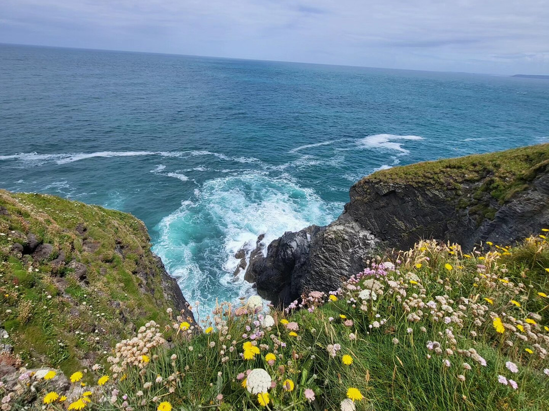 South West Coast Path - Godrevy Head-圣艾维斯必去景点