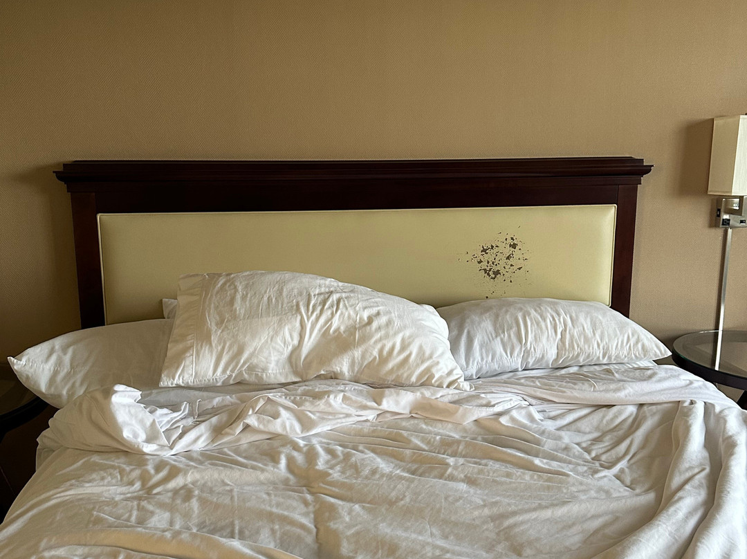 丹佛西喜来登酒店主图