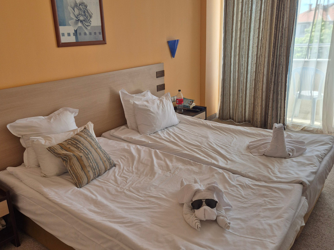 Hotel Selena主图