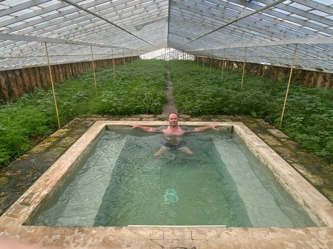 Senhora da Rosa, Tradition & Nature Hotel主图