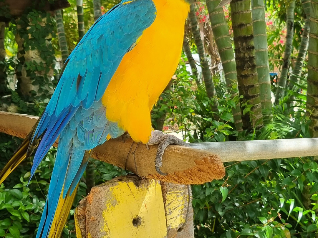 Chacara do Alemao主图