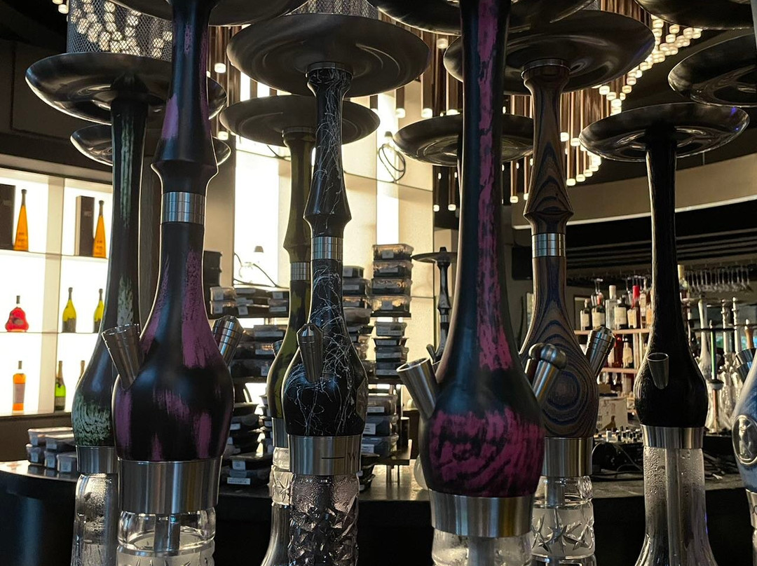 W.sheeshark-上海市必去景点